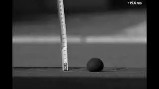Ball bouncing in slow motion: Squash ball