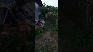 а гареме пополнение
