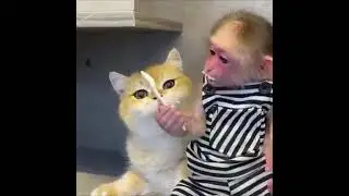 Мои любимые животные.
