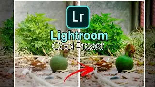 Cool Lightroom Preset || DNG Link in Description || 