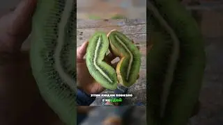 🔥 Больше подобных фотографий есть в ТГК 🔥 