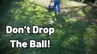 STOP Raking Your Leaves! Do THIS Instead - Don't Drop The Ball With Fall Lawn Care