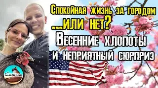Спокойная жизнь за городом...или нет? Весенние хлопоты и неприятный сюрприз