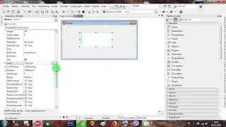 Rad Studio Delphi 009 Memo - 002 ScrollBars