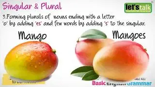 Singular and Plural