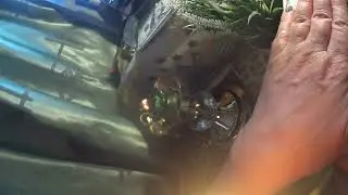 СМОТРИ И БОГАТЕЙ СИЛЬНЫЙ РИТУАЛ НА ДЕНЬГИ БОГАТСТВО УСПЕХ