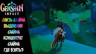 [Genshin Impact] Слизь слайма, Выделения слайма, Концентрат слайма. Где взять?