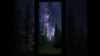 обои на телефон