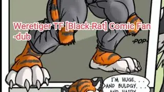 Weretiger TF [Black-Rat] Comic Fan-dub
