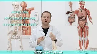 Arthrology: Immobile joints (sutures and syndesmoses)
