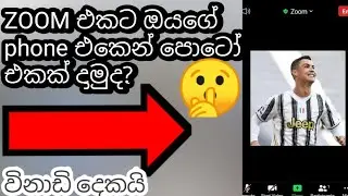 zoom එකට පොටෝ එකක් දාන්න|How to display your photo in zoom meeting sinhala|zoom ekta photo ekk sl