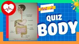 human body | body parts | quiz | part - 2 | my body quiz | what is the strongest muscle in our body?