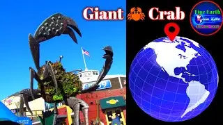 Giant Crab 🦀 found on GoogleEarth