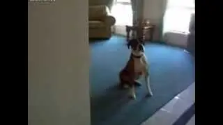 Гулять пойдём