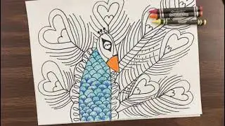 Peacock Directed Drawing