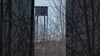 18 сентября 2023 г.
