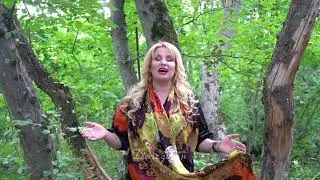 Зульфия “Ласточка любви”