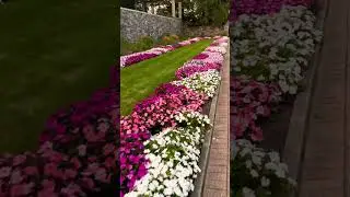 Gorgeous flowers at Cranbrook gardens 😍❤️#summer #floral #michigan