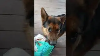 просто хорошее настроение )))