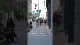 Основные программы иммиграции