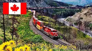 CANADA DAY TRAINS 2024 WITH TRACKSIDE TYSON!
