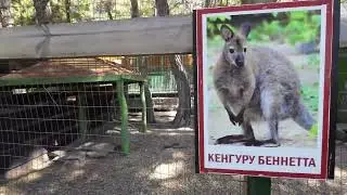Отпуск Геленджик Прогулка по Зоопарку Олимп