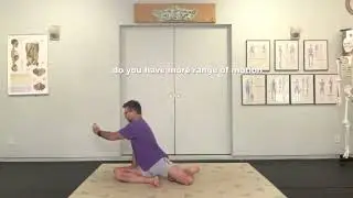 Basketball Mobility Part 3 of 6: Shin Box