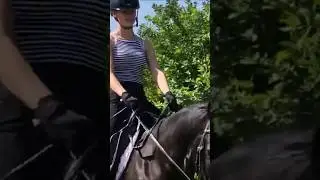 Dutch Village. Horses. Klompen Clogs. Travel in the Netherlands