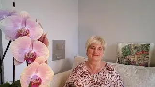 ТЕ, КОМУ Я НЕ НРАВЛЮСЬ, ИДУТ ЗА КОРАБЛЁМ..СИДИМ НА ЛАВОЧКЕ
