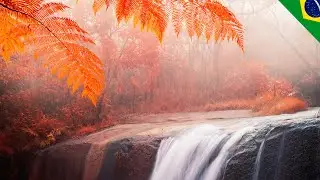 Saída Fotográfica Cachoeira do Barrocão