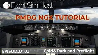 PMDG NGX TUTORIAL - Episódio 01  [Cold&Dark and Preflight Procedure]