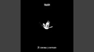 Я снова улетаю