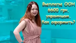 Выплаты от ООН украинцам, денежная помощь пенсионерам 6600 грн