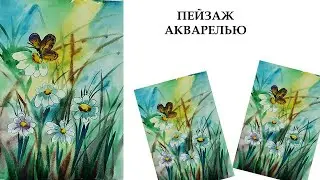 Как нарисовать ромашки акварелью. Рисуем полевые цветы. Летний пейзаж красками.