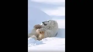 Всем добра❤️