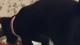 Тусим