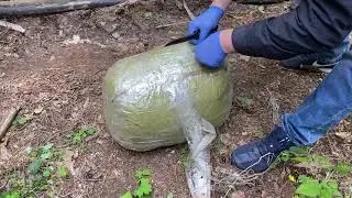 Курские полицейские поймали двух москвичей с 38 кг наркотиков