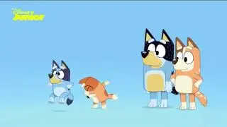 Bluey - Theme Song (Romanian)