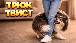 Трюк ТВИСТ, обойди меня задом, движение назад вокруг человека