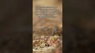 🏃‍♂️