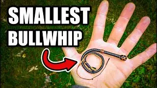 The Smallest Bullwhip I Have Ever Made