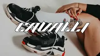 Guaynaa x Ponte Perro x Tego Calderon Type Reggaeton Beat - "CAVALLI" -| Reggaeton Beat 2024 |-