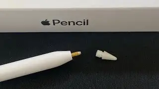 How to replace Apple Pencil Tip