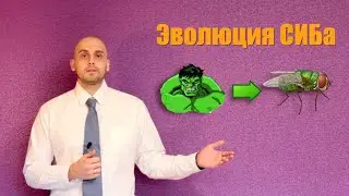 Во что превратился СИБ и откуда взялись зеленые мухи?