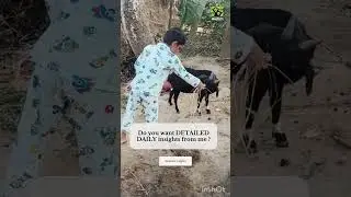 Did you know about barefeet walking