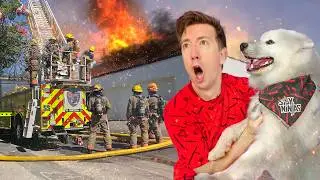 Firefighters Can’t Rescue My Dog