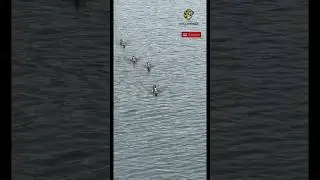 Fasted Duck Race #nature