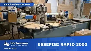 ESSEPIGI RAPID 3000 (Höchsmann Klipphausen)