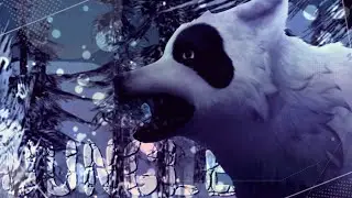 Jungle //wcmv- part on the map//