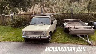 Зачарована водами Вуоксы, пригород Санкт-Петербурга, грибы, леса, меланхолия, книги,